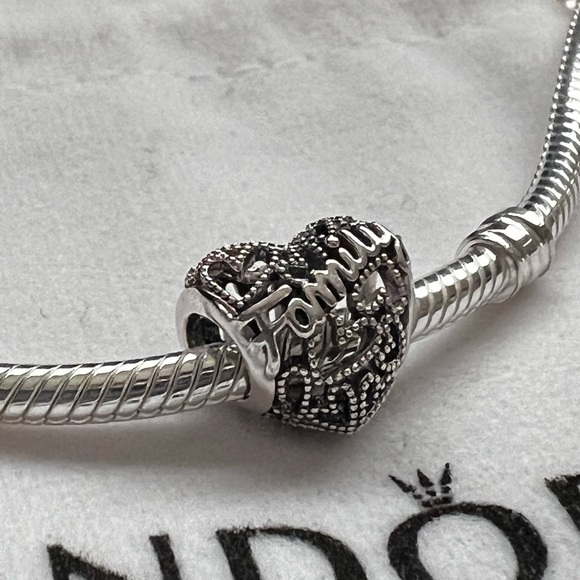 Pandora Family Heart Charm - Picture 14 of 16